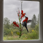 Crimson Sunbird & Canna Lily Holographic Acrylic Suncatcher