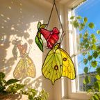 Yellow Sulphur Butterfly & Red Trumpet Flower Holographic Acrylic Suncatcher