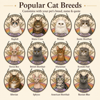 Popular cat breed options for custom pet memorial suncatcher including Ragdoll, Maine Coon, Persian, Exotic Shorthair, Devon Rex, British Shorthair, Abyssinian, Scottish Fold, Siberian, Sphynx, American Shorthair, Russian Blue, Norwegian Forest Cat, Oriental Shorthair, and Bengal.
