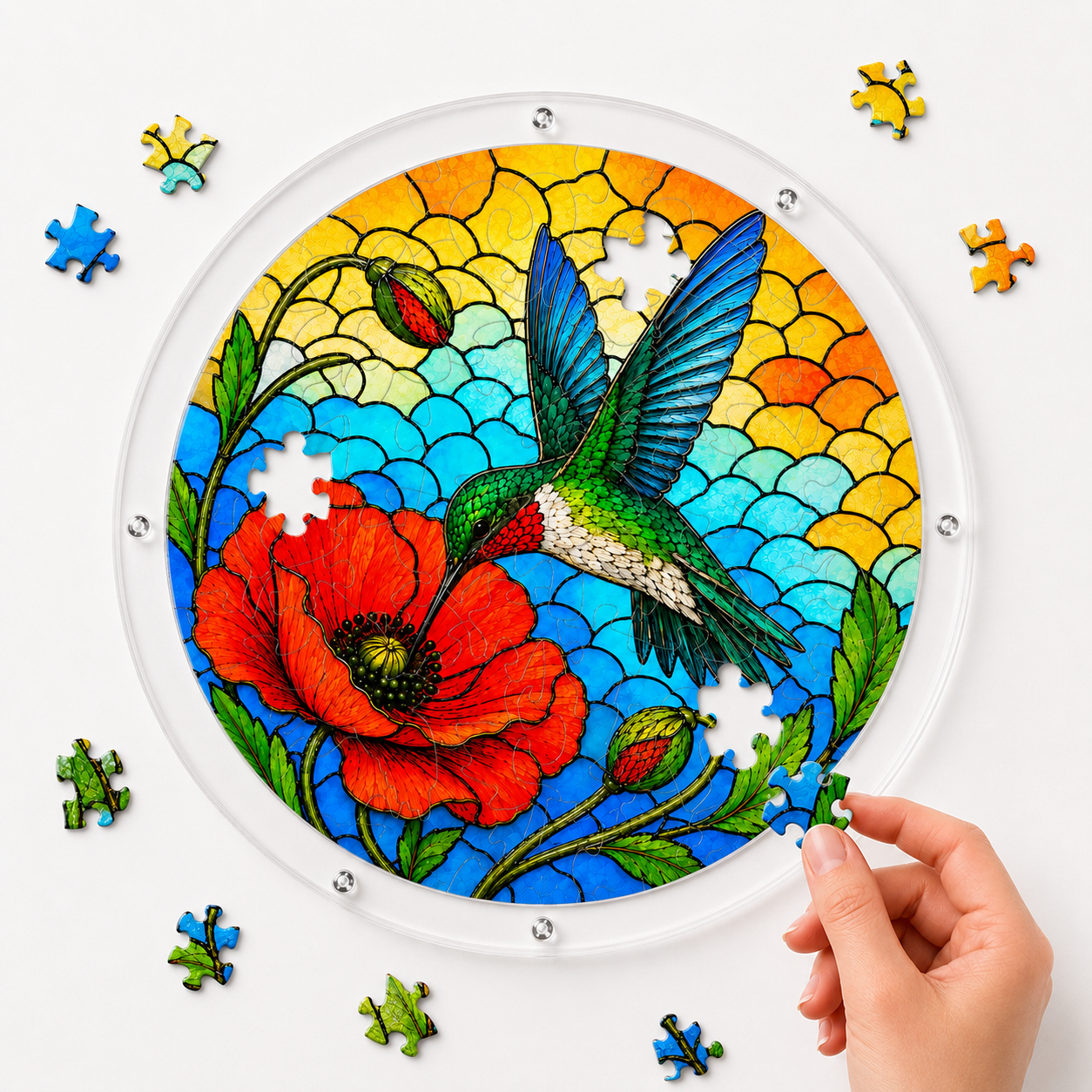 Hand placing a puzzle piece into a blue wing hummingbird poppy flower acrylic jigsaw puzzle suncatcher with loose pieces around it