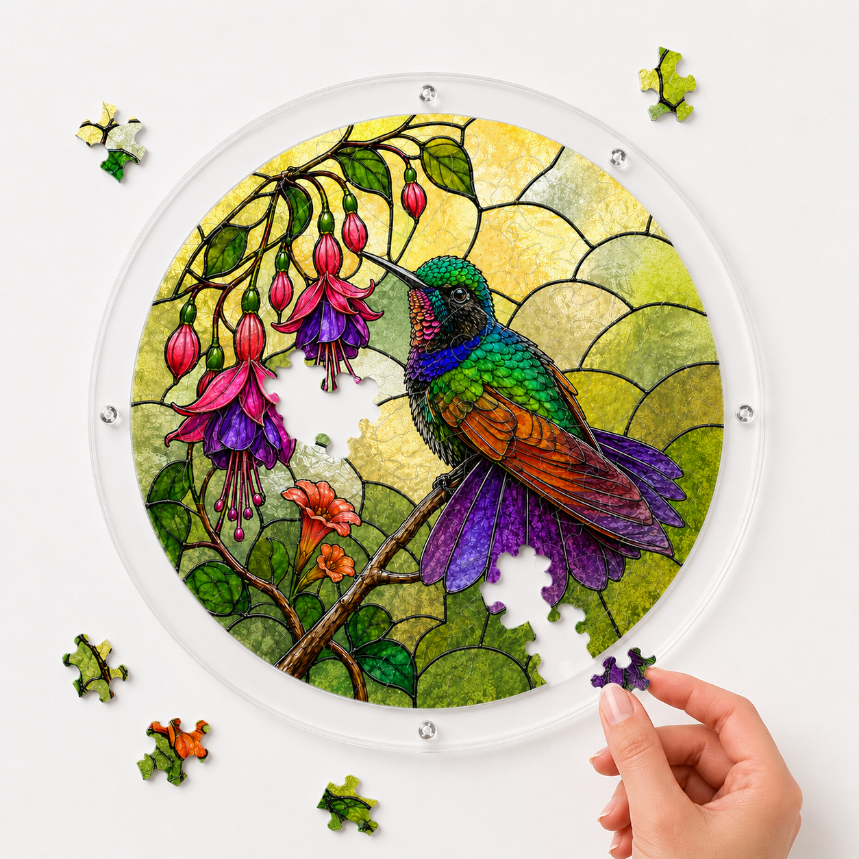 Hand placing a puzzle piece into a colorful hummingbird fuchsia flower acrylic jigsaw puzzle suncatcher with loose pieces around it