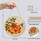 Hummingbird trumpet vine suncatcher lifestyle view