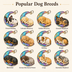 Popular dog breed options for personalized dog memorial moon charm including French Bulldog, Labrador Retriever, Golden Retriever, German Shepherd, Dachshund, Poodle, Bulldog, Beagle, Rottweiler, German Shorthaired Pointer, Corgi, and Australian Shepherd