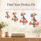 Robin and orange trumpet flower acrylic suncatcher available in 6, 8, 10 and 12 inch sizes