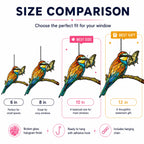 Bee-eater & Swallowtail Butterfly Holographic Acrylic Suncatcher
