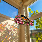 Baltimore Oriole & Cherry Blossom Branch Holographic Acrylic Suncatcher