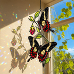 Black swallowtail butterflies fuchsia suncatcher casting colorful shadows